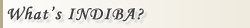 Waht's INDIBA?