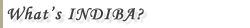 Waht's INDIBA?