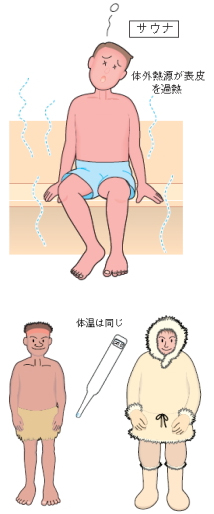 �C���f�B�o�G�}